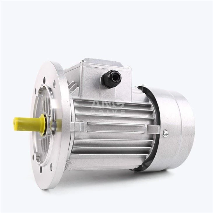1HP electric Motor