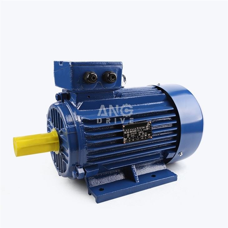 4KW Motor