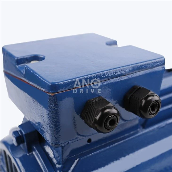 7.5HP Motor