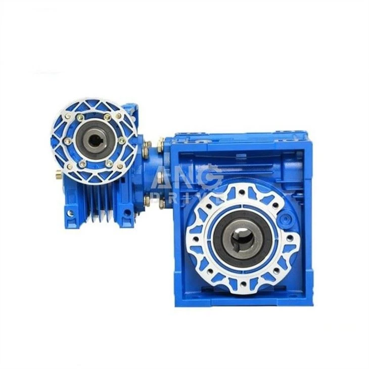 Double Worm Gearbox