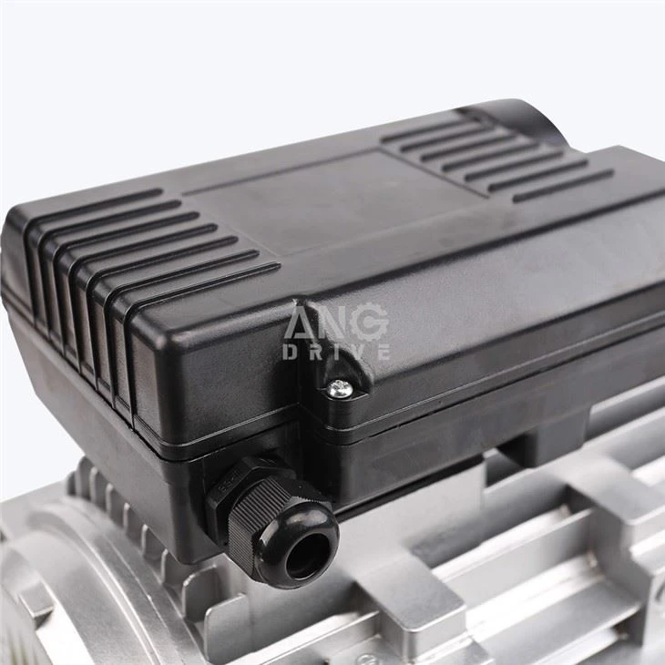 1 phase electric engine