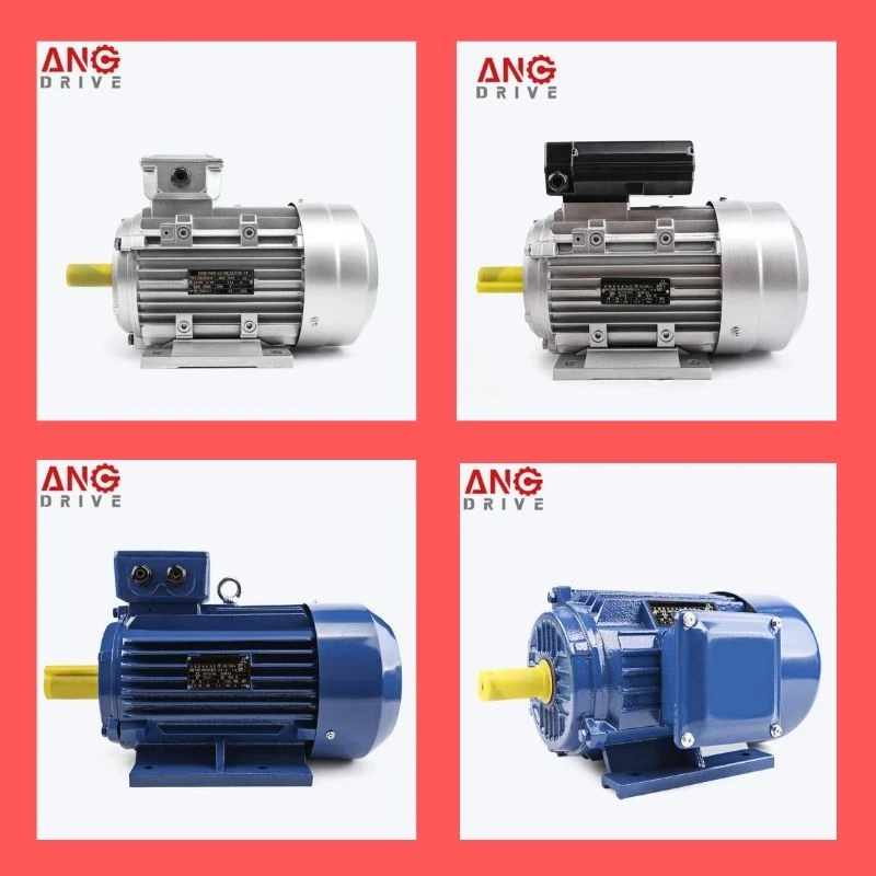 product-800-800